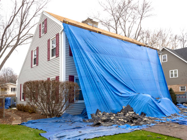 Best Basement Cleanout  in Chevy Chase Heights, PA